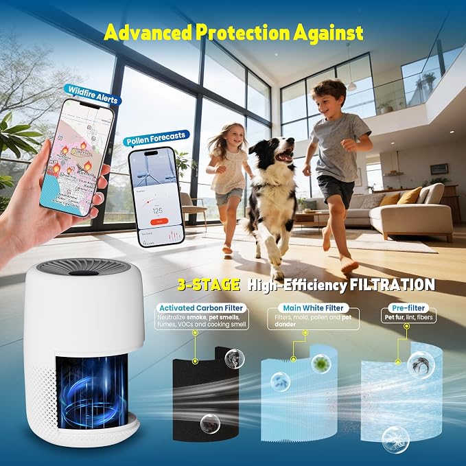 Core Mini Filter Replacement for LEVOIT Core mini-P Air Purifier,Blue | 2 filter & 10 fragrance Sponge，3-in-1 filtration, great high-efficiency materials with activated carbon，by Improvedhand