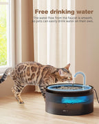 Black Cat Water Fountain: with 6 Carbon Filters + 3 Sponge Filters | 108oz/3.2L Pet Water Fountain Quiet Cat Water Fountains Indoor Faucet Cat Fountain for Cats and Dogs