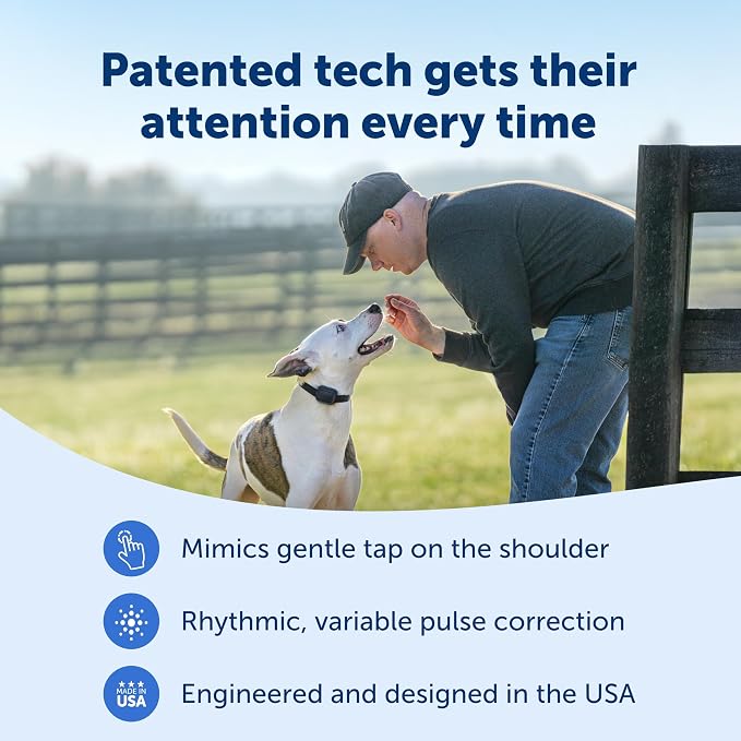 PetSafe Core Trainer Add-A-Dog Collar, 1000 Ft Range, 15 Static Levels | Adds 2nd Dog to Core Dog Remote Trainer, Built-in LED Light, Waterproof, Rechargeable, Fits 10-22in Necks, Collar Only