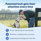 PetSafe Core Dog Trainer Remote Collar, 1000 Ft Range, 15 Static Levels | Tone/Vibration//15 Levels of Static, Waterproof Collar, 1000-Ft Range for Off-Leash Obedience Training