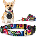 Lucky Love Dog - Easy Click Buckle Dog Collar with Leash Set Combo, Durable & Comfortable for Male & Female Dogs, Pet Collar for Small Dogs, Secure Fit - Blackbird Combo, Small