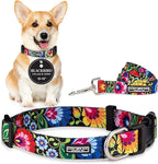 Lucky Love Dog - Easy Click Buckle Dog Collar with Leash Set Combo, Durable & Comfortable for Male & Female Dogs, Pet Collar for Small Dogs, Secure Fit - Blackbird Combo, Small