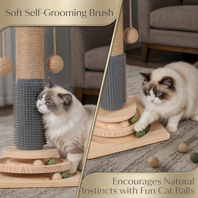 4-in-1 Solid Wood Cat Scratching Post with Self-Groomer, Medium Size | Natural Sisal Scratcher with 2-Level Track Ball Toy, Interactive Cat Tree and Furniture Protector for Indoor Cats