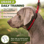 Fida Durable Slip Lead Dog Leash, 6 FT x 3/8" Heavy Duty Comfortable Strong Rope Slip Lead for Small Dogs and Puppies, No Pull Pet Training Leash with Highly Reflective (3/8", Red)