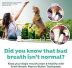 TropiClean Fresh Breath Oral Care Kit - Soft Bristle Finger Toothbrush - Dog Tooth Brushing Kit - Peanut Butter and Honey Flavor Dog Toothpaste