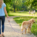 Mile High Life Rainbow Dog Leash Braided Cotton Rope w Leather-Wrapped Ends | Rust-proof 360° swivel clasp, Heavy-duty for medium/large breeds. Great for weddings, daily walks (5FT, 1/2", Purple)