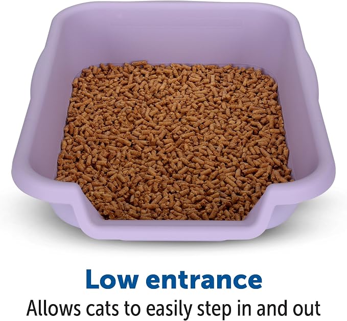 KittyGoHere Senior Cat Litter Box, Small Litter pan, Open Top Low Entrance Kitty Litter Box, Lightweight Low Entry Litters Box, Durable, Made in USA (Storybook Lavender)