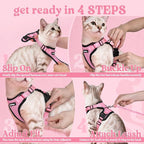 rabbitgoo Cat Harness and Leash Set, Escape Proof Vest, Pink | Soft Breathable Mesh, Easy Adjustable Fit, Snap Buckles, Sturdy Clip, Reflective Strips, for Small & Average Cats Walks, Xs