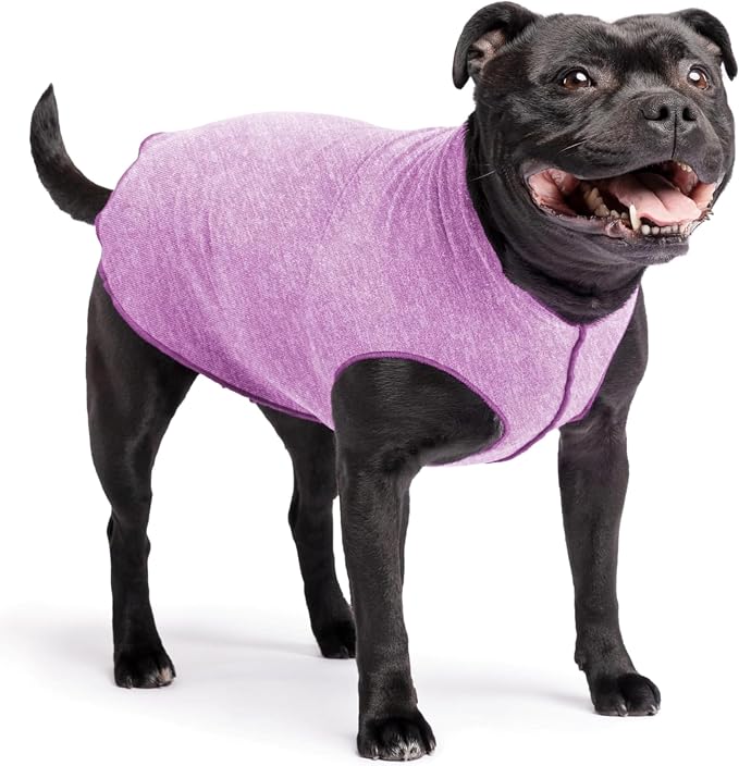 Goldpaw Dog Sun Shirt with UV Protection - Lightweight, Cooling Sun Protection Clothing for Medium Dogs - Reduce Heat Absorption - Pet Clothes Made in the USA - Machine Washable - Violet - Size 16