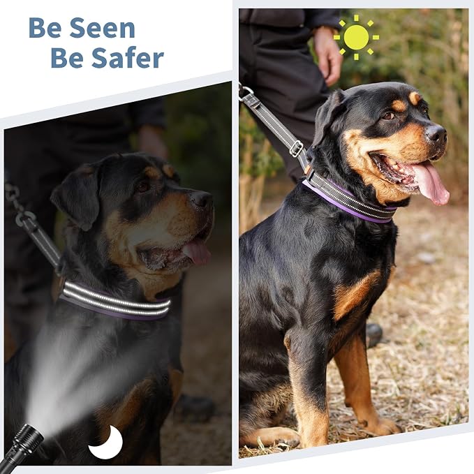 Mayerzon Martingale No Pull Collar for Medium Large Dogs | Purple Trim, L | Patented Anti Pull Dog Collar with Buckle for Walking Training, Neoprene Padding, Reflective Stitching, Adjustable, Sturdy