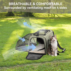 Petsfit Small Expandable Cat Carrier for Air Travel, Up to 9 lb | 16 x 10 x 9 in; sized for Alaska Airlines, with locking zippers, an interior safety tether and multi-side ventilation.