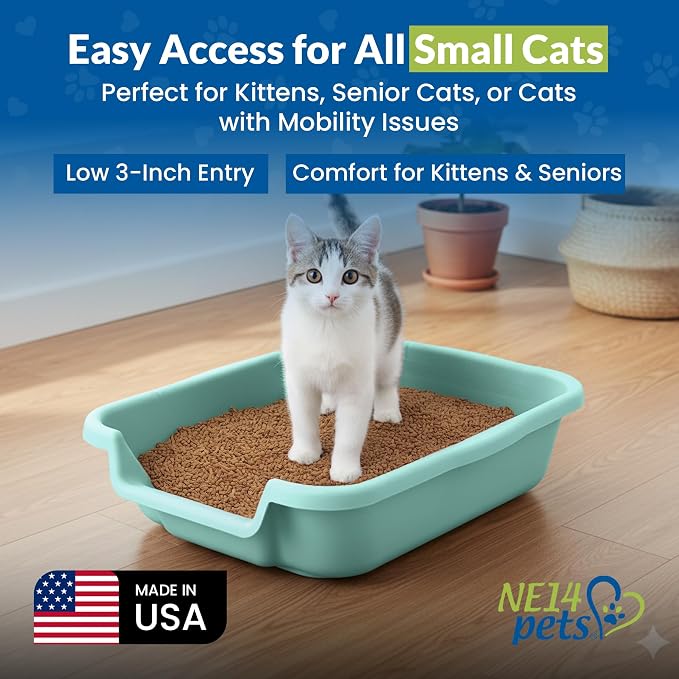 KittyGohere Senior Cat Litter Box Small with Scoop, 2 Pack Apple Green | Open Top Low Entrance Kitty Litter Box With With Long-handle Jumbo Scoop, Lightweight & Durable Litters Box, Made in USA