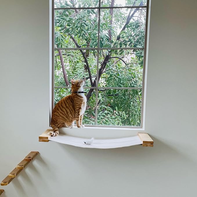 FUKUMARU Cat Wall Hammock, 34 x 13 inch Kitten Wall Furniture | Solid Rubberwood Shelves, Kitten Window Perch, Easy DIY Installation