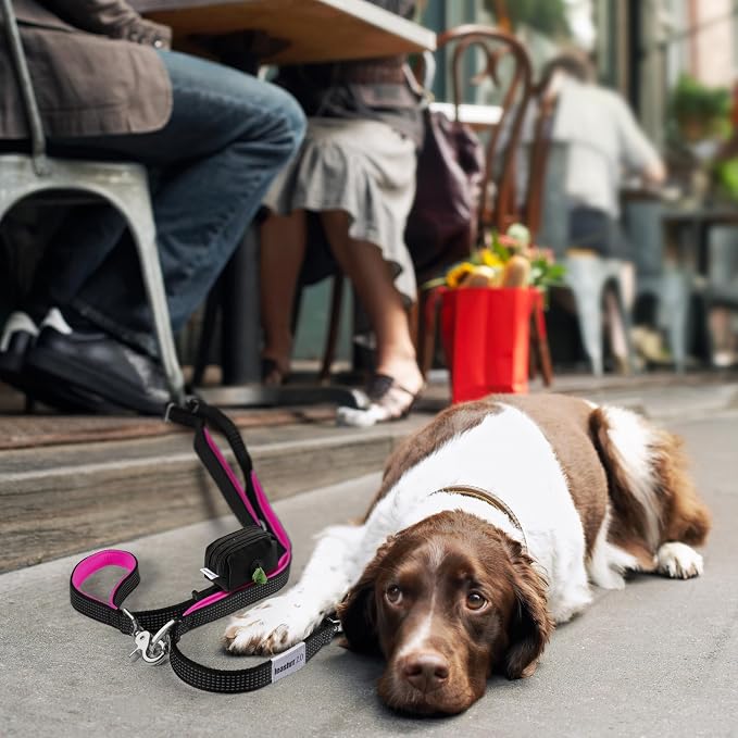 Heavy Duty Dog Leash for Large Dogs – 6FT Reflective Bungee with Padded Handles, Strong Carabiner Clip, No Pull Control for Medium & Large Breeds, Includes Poop Bag Holder & Treat Pouch (Purple)