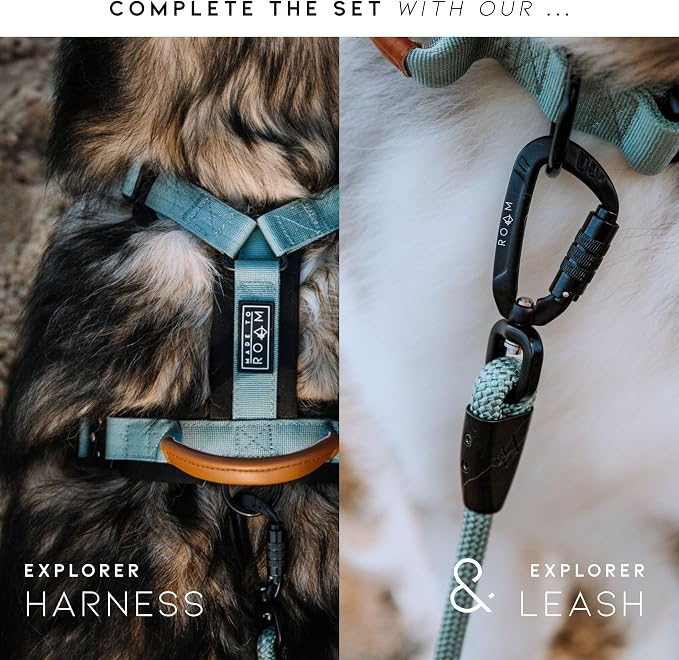 MADE TO ROAM Control Dog Collar | Leather Handle & Heavy Duty Metal Buckle | Premium adjustable collar with vegan leather handle. Fits medium to large dogs. 15 colors. Matching leash & harness