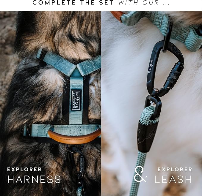 MADE TO ROAM Control Dog Collar | Leather Handle & Heavy Duty Metal Buckle | Premium adjustable collar with vegan leather handle. Fits medium to large dogs. 15 colors. Matching leash & harness