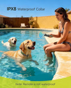 Shock Collar for 2 Dogs (10-120lbs) - 4200FT Dog Training Collar with Remote, IPX8 Waterproof Electric Collar with 4 Training Modes, Rechargeable E-Collar for Large Medium Small Breeds