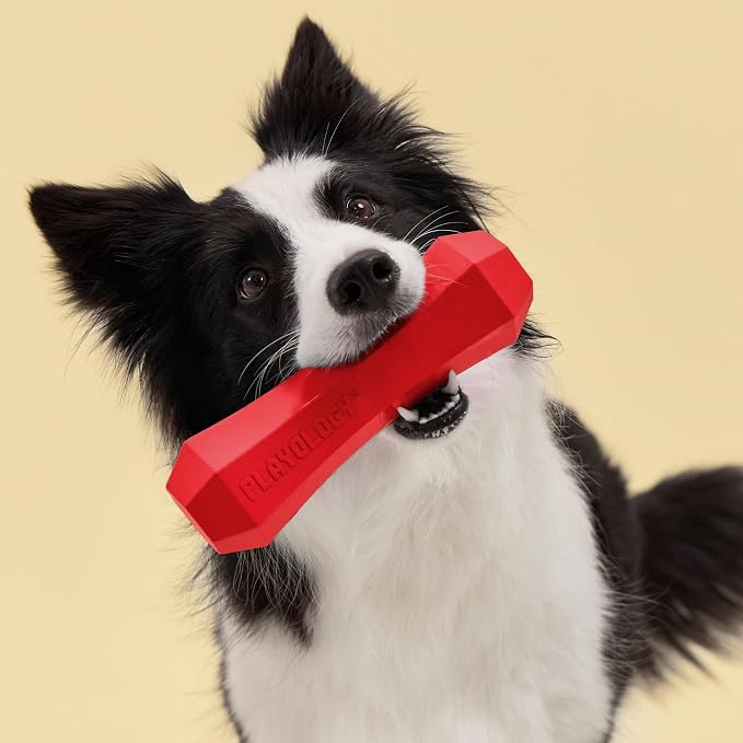 Playology Dog Toys | Squeaky Chew Stick for Large Dogs | Beef Scented Jumbo Fetch Toy | Squeaky Dog Chew Toy