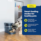 PetSafe Smart Feed Automatic Pet Feeder, 6L/24 Cup, Programmable | Alexa Enabled for Snack Feeding, App Alerts When Low/Empty, Slow Feed Setting, Backup Batteries Keep Meals on Schedule
