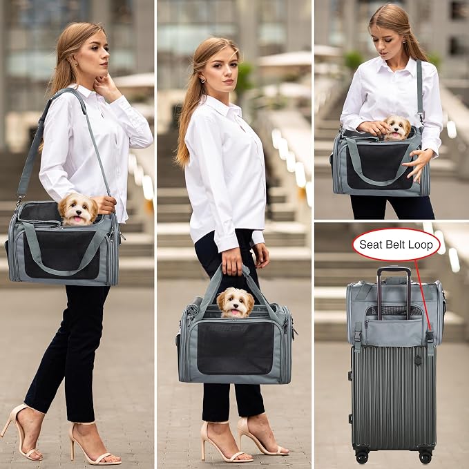 EliteField Deluxe Soft Pet Carrier for Cats and Dogs (3-Year Warranty) | Airline Approved, Waterproof Fabric, Scratch-Resistant Mesh, Expandable Mat, Built-In Leash, Suitcase Sleeve, Seat Belt Loops