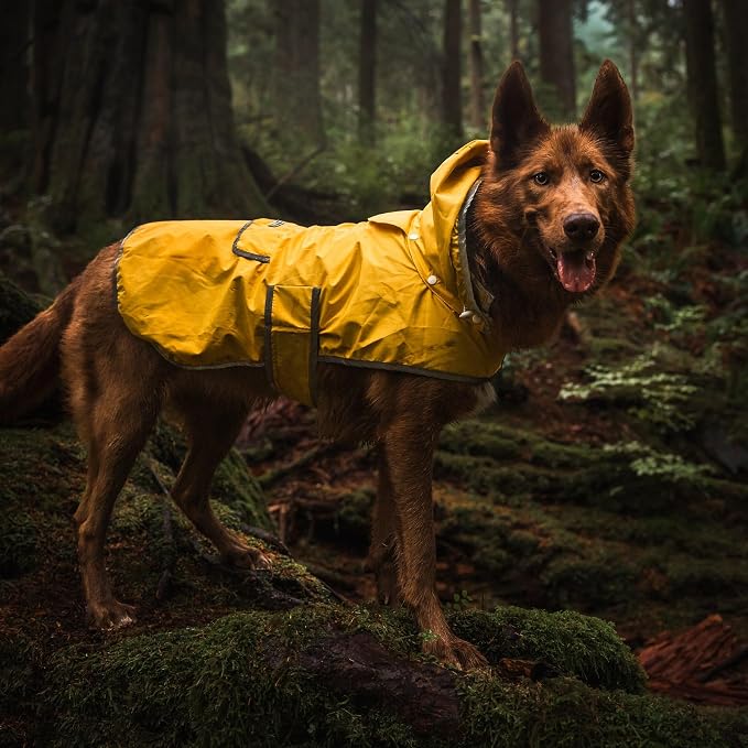 Wilderdog Dog Jacket Waterproof Raincoat with Breathable Interior, Removable Hood, Torso Strap, Secure Closures, Back Pocket and Two Hanging Loops, Foldable into Back Pocket