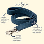 Lucy & Co. 5 Foot Designer Dog Leash for Small, Medium or Big Dogs or Puppies Puppy – Pet Accessories & Supplies- Large-Blue Denim