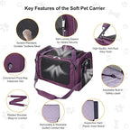 EliteField Deluxe Soft Pet Carrier for Cats and Dogs (3-Year Warranty) | Airline Approved, Waterproof Fabric, Scratch-Resistant Mesh, Expandable Mat, Built-In Leash, Suitcase Sleeve, Seat Belt Loops