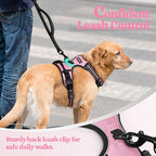 rabbitgoo Dog Harness, No Pull Medium Sized with 2 Leash Clips, Pet Vest | No Choke with Handle, Adjustable Soft Padded, Reflective, Easy Control for Walking, Pink, Medium