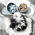 Dog Travel Bowls - Set of 2 Portable Pet Food & Water Dishes with Lid & Handle - Each Nesting Container Includes a Non-Slip Silicone Base - Microwave & Dishwasher Safe - BPA & Toxin-Free
