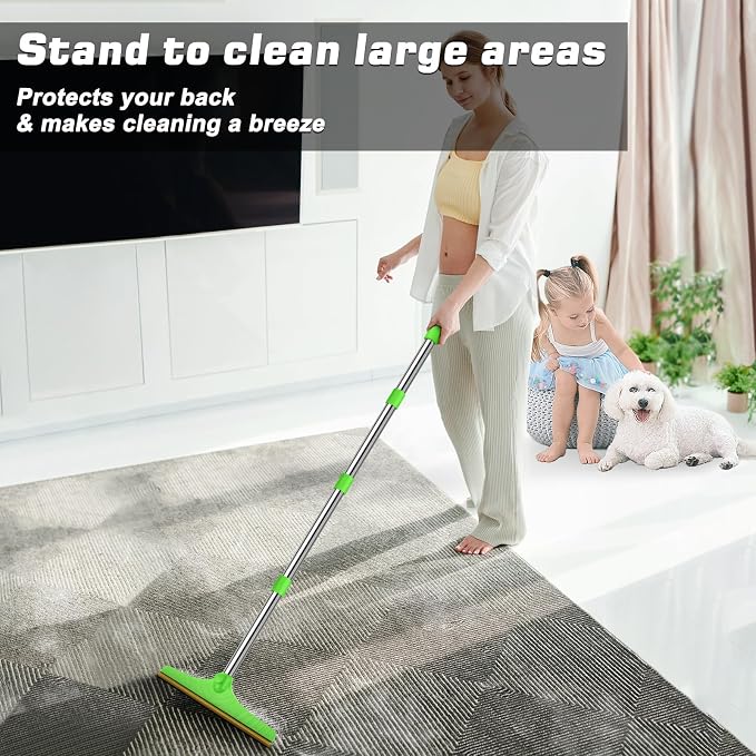 Carpet Rake for Pet Hair Removal, Green | Reusable Pet Hair Remover, 60" Adjustable Long Handle, Carpet Scraper for Dog Cat Hair, For Rugs, Mats, Couch, Furniture