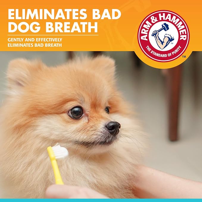 Arm & Hammer Fresh Breath Enzymatic Dog Toothpaste, Vanilla Ginger, 2.5 Oz | Baking soda dental gel eliminates bad breath, safe for daily use in puppies and adult dogs