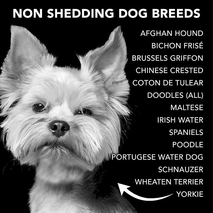 Pride and Groom The Non Shedder Box Set – Dog Shampoo & Conditioner with All Natural Blend of Essential Oils & Ingredients to Heal and Nourish for Long Lasting Shine & Manageability – 32oz