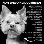 Pride and Groom The Non Shedder Box Set – Dog Shampoo & Conditioner with All Natural Blend of Essential Oils & Ingredients to Heal and Nourish for Long Lasting Shine & Manageability – 32oz
