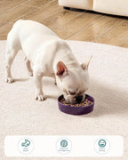 vancasso Slow Feeder Dog Bowl, 0.6 Cup Ceramic Slow Feeding Food Dish for Small Breed, Puzzle Dog Food Bowl for Fast Eater, Dark Purple