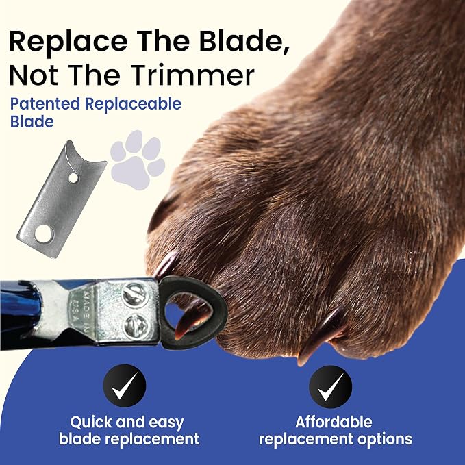 Candy Series Dog Nail Clippers for Large Dogs – USA-Made Professional Guillotine Pet Nail Trimmer with Replaceable Blade System