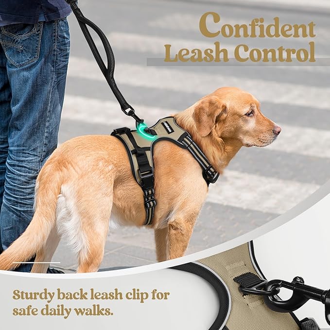 rabbitgoo Dog Harness, No Pull Medium Sized with 2 Leash Clips, Pet Vest | No Choke with Handle, Adjustable Soft Padded, Reflective, Easy Control for Walking, Beige, Medium