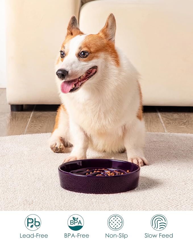 vancasso Slow Feeder Dog Bowl, 1.5 Cup Ceramic Slow Feeding Food Dish for Small and Medium Breed, Puzzle Dog Food Bowl for Fast Eater, Dark Purple