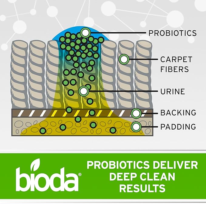 Bioda Commercial Strength Enzymatic Stain & Odor Eliminator for Pets, 1 gal | Pet Urine Enzyme Cleaner | Stain Remover | Urine Odor Eliminator | Carpet & Couch Cleaner | Made in USA | 1 Gallon