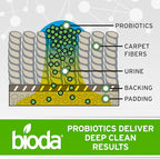 Bioda Commercial Strength Enzymatic Stain & Odor Eliminator for Pets, 1 gal | Pet Urine Enzyme Cleaner | Stain Remover | Urine Odor Eliminator | Carpet & Couch Cleaner | Made in USA | 1 Gallon