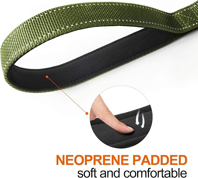Twoear 6FT 1IN Heavy Duty Dog Leash for Large Dogs with 2 Padded Handles | Traffic Handle Extra Control, Auto Lock Hook, Strong Reflective Walking Leash for Night Safety, Medium and Large Breeds,Green