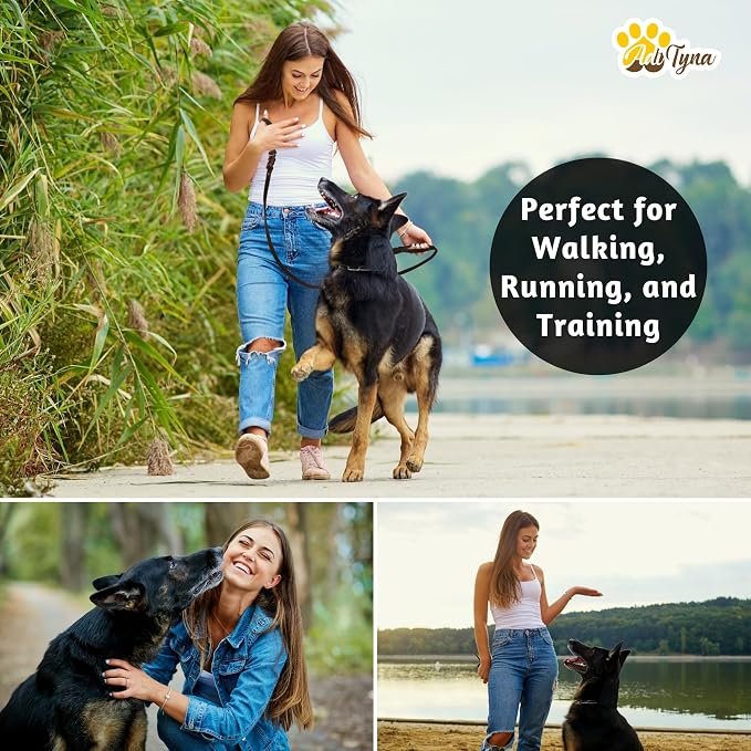 ADITYNA Leather Dog Leash with Traffic Handle, 6ft, Medium & Small Dogs | Heavy-duty braided leather leash, 5/8" width x 6ft, Double handle for extra control, ideal for training & busy sidewalks.