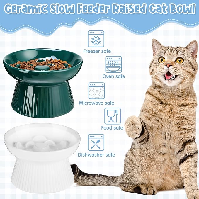 Tioncy 2 Pcs Ceramic Elevated Slow Feeder Cat Bowl, Raised Cat Slow Feeder Bowl, Anti Vomiting for Dry and Wet Food, No Spill High Edge Easy Clean Dishwasher Safe (Dark Green,White)