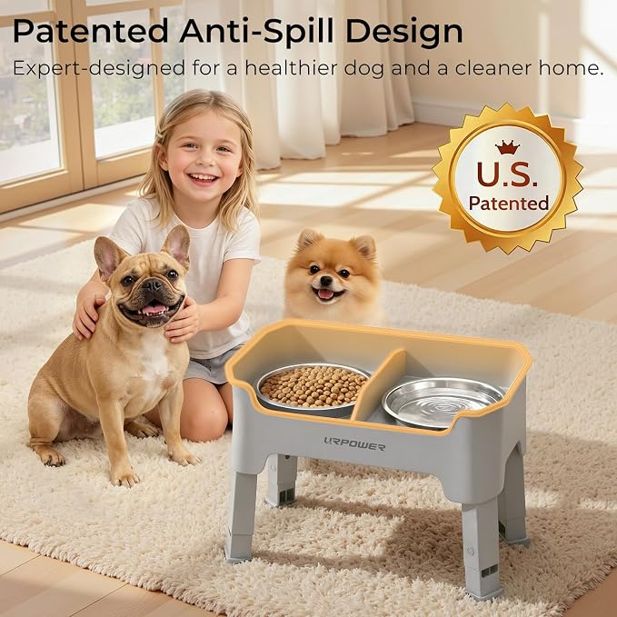 URPOWER Mess Proof Elevated Dog Bowls for Small Dogs with Splash Guard | 4 Adjustable Heights, 2 Stainless Steel Bowls, Food & Water Separation, Non-Slip Base, Foldable Dog Bowl Stand, Light Grey
