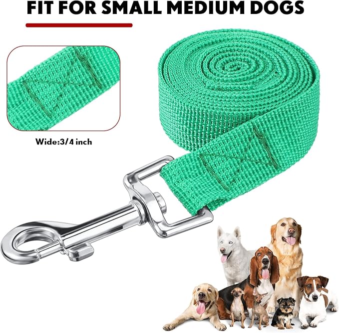 24 Pack Nylon Dog Training Leash Bulk 5 ft Dog Leash for Small and Medium Puppy Traction Rope for Training, Play, Camping, or Backyard, 12 Assorted Colors(Bright Colors)
