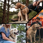 Wolfgang Heavy Duty Dog Leash, Pull-Tested to Over 800 lbs for Walking & Training, Overland Print, Large