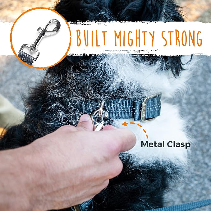 Mighty Paw Double Dog Leash, No Tangle Adjustable Split Lead for Two Dogs | Fits 0-100 Lb, 16-24 In Range, Reflective Stitching, Waterproof, Neoprene Padded Handle
