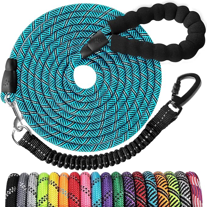 Long Dog Leash 10 FT: Heavy Duty Rope Leashes for Dogs Training with Swivel Lockable Hook Reflective Threads Bungee and Padded Handle - Dog Lead for Large Small Medium Dogs Outside Walking Hiking Blue
