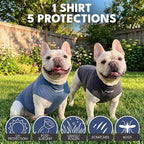 Spark Paws Sunblock Dog T-Shirt, SPF30 Protection, Lightweight Breathable Quick Dry for Dogs with Sensitive Skin - Navy Blue & Dark Grey (Set of 2) - Size M