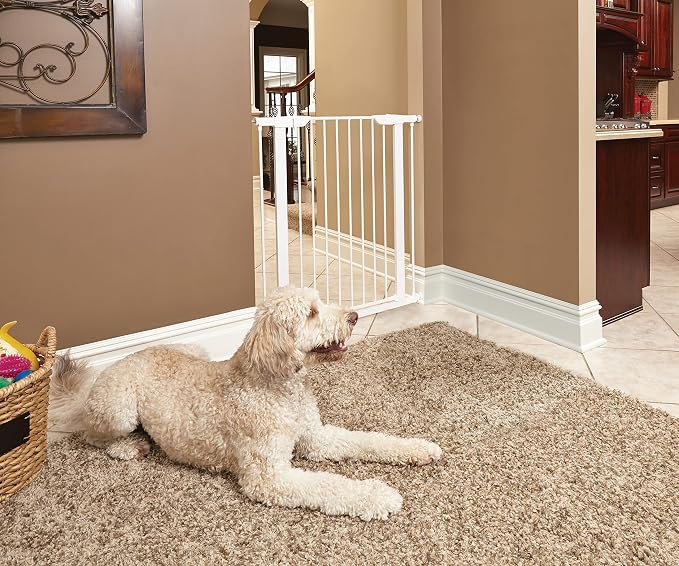 Midwest 39" Steel Walk-Thru Dog Gate, White | Pressure Mounted, Expands 29.5"- 38" Wide, Auto-Close Door, Spring-Loaded Latch, Includes Two 3" Extensions