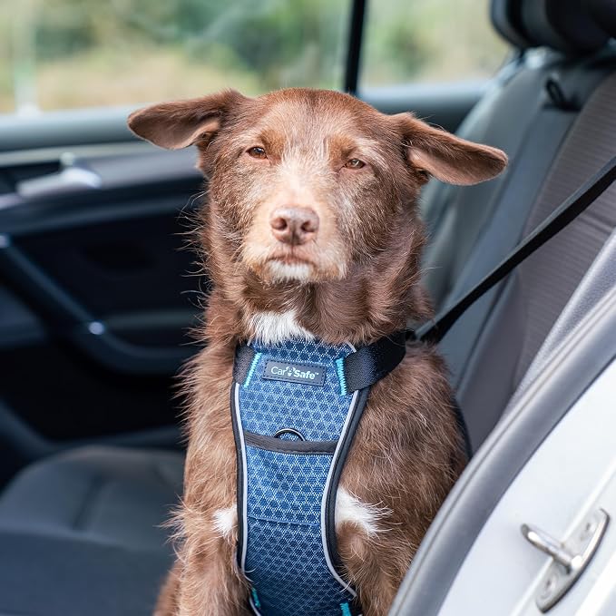 CarSafe Crash Tested Dog Safety Harness - Crash Tested to 32Kg/70lbs, Safely Secure Dog in the Car, Comfortable and Padded Design. for Toy, Small, Medium and Large Dogs (Size Small)